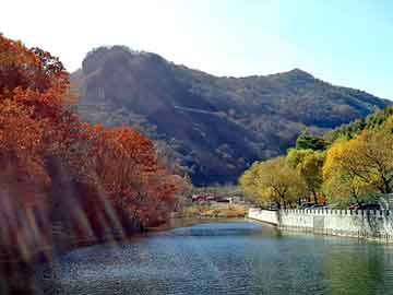 管家婆黑白马报图库，张大胆